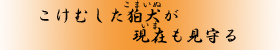 ނ(܂)@()