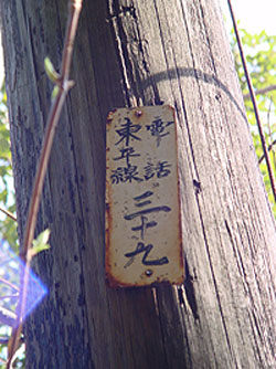 何本あるのかな??