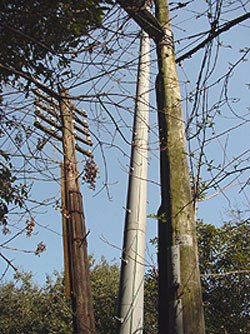 当時の電柱と現在の電柱
