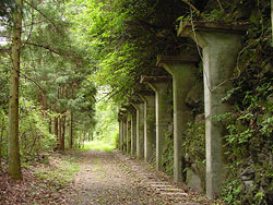 坑水路用桁跡