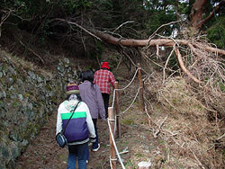 一の森へ登りました。