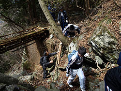 険しい山道を探索しました。
