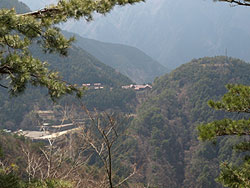 登山道から東平も見えました。