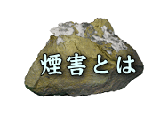 QƂ