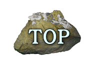 ＴＯＰ